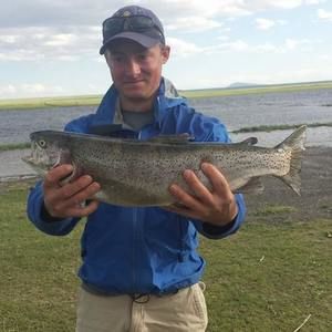 Meet your Posher, Spencer